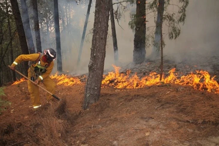 Rige un riesgo “muy alto” de incendios forestales en Mar del Plata