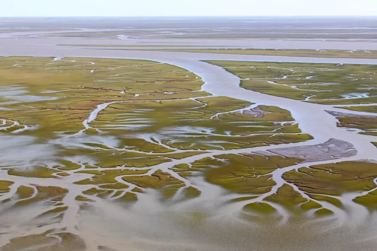 Derrame de petróleo en el Estuario Bahía Blanca