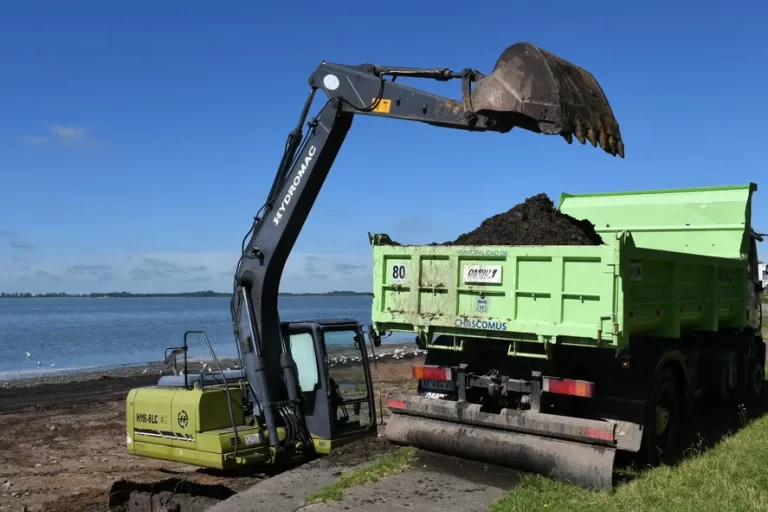 La Laguna de Chascomús tiene 1 metro de profundidad y alertan por la mortandad de peces