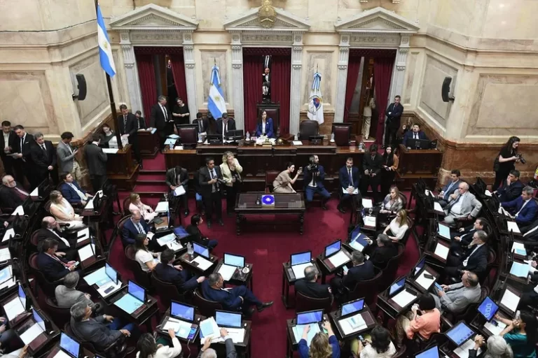 Senadores de Unión por la Patria pidieron sesión especial para rechazar el DNU