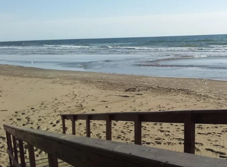 La temperatura del mar en diciembre fue la más alta en los últimos 10 años