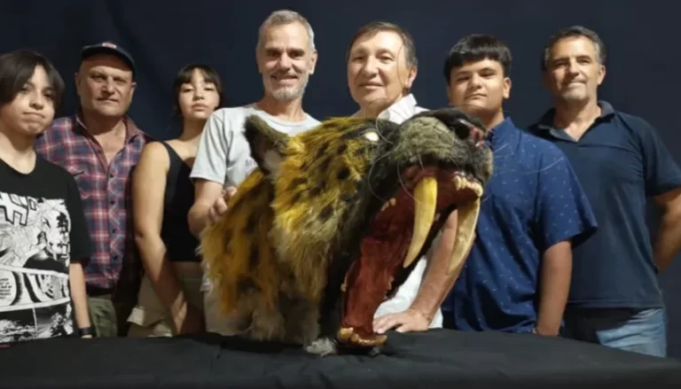 Descubren el primer fósil de un «tigre dientes de sable» en San Pedro