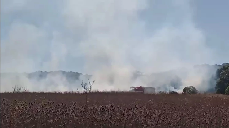 Incendio forestal en Laguna de Los Padres