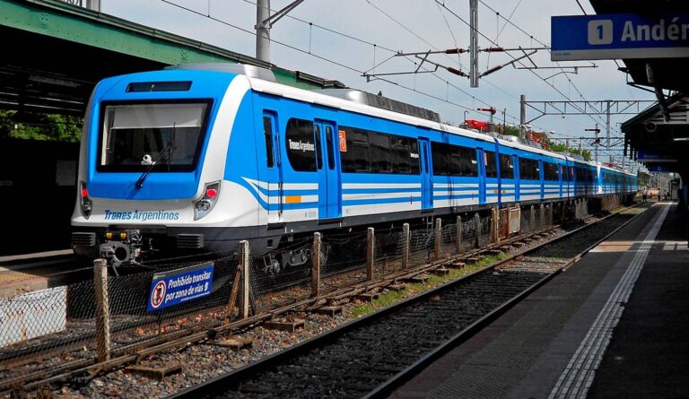 Corte de vías y demoras en el Tren Roca