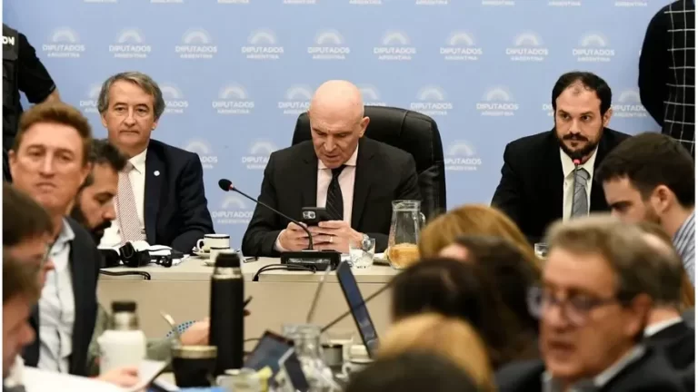 La ley ómnibus llega el lunes al recinto