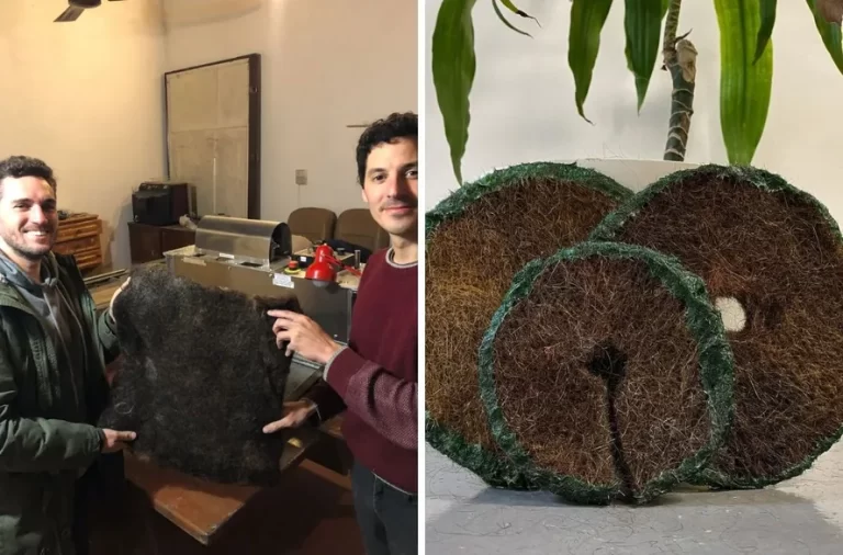 Dos emprendedores de Quilmes reciclan pelos humanos para hacer productos sustentables