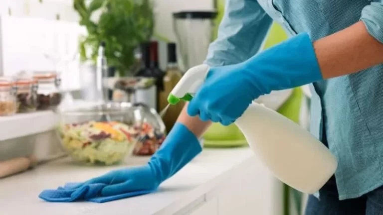 El Gobierno anunció un aumento para trabajadoras domésticas