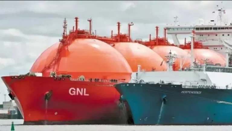 En Bahía Blanca se cerró la grieta en defensa del proyecto de GNL