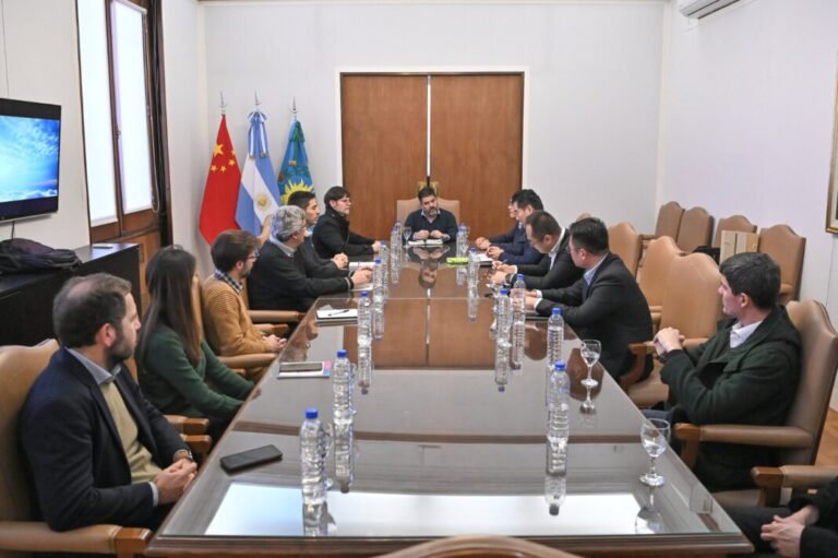 La Provincia se reunió con funcionarios de una mega empresa china