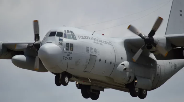 Aviones militares coparon el cielo de La Plata
