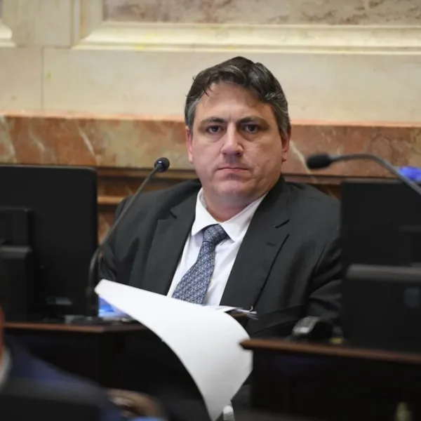 Echaron a Francisco Paoltroni del bloque de senadores de La Libertad Avanza