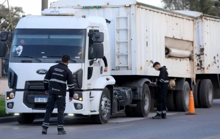 Se detectaron más de 30 toneladas de carga ilegal en las rutas bonaerense