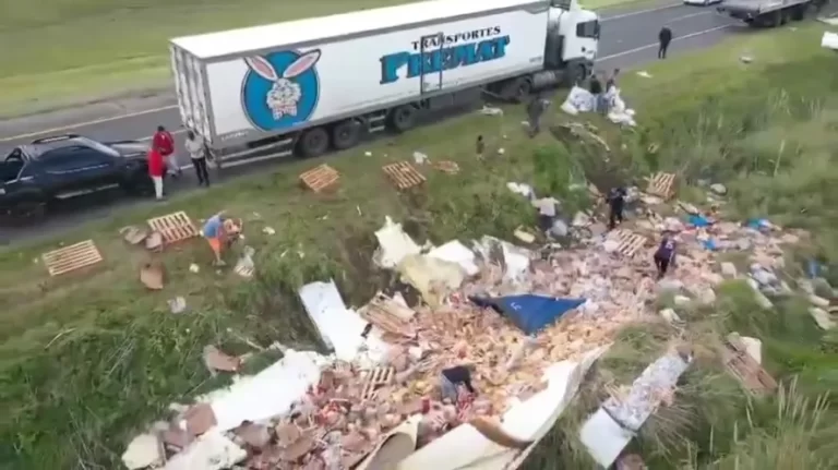 Un camión de pollos volcó en Ruta 2 y la gente aprovechó para agarrar la mercadería