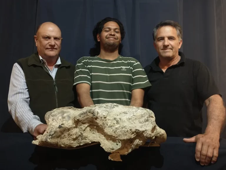 Descubren en San Pedro el cráneo fosilizado de un Perezoso Prehistórico