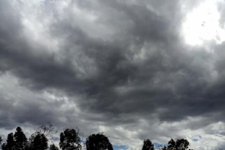 Remera y un piloto… por las dudas: ¿Siguen las lluvias?
