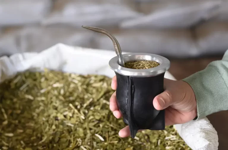 ¡El mate se enfría! Cae el consumo de yerba en el país