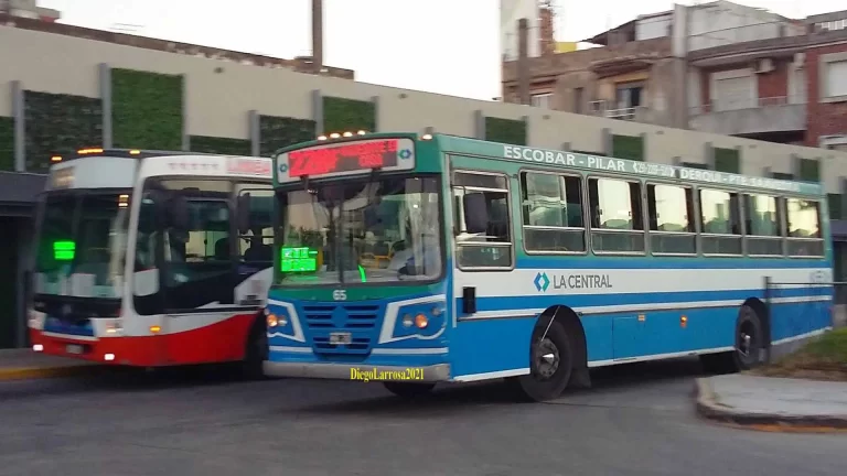 Sin colectivos en el AMBA: Paro de choferes por falta de pago