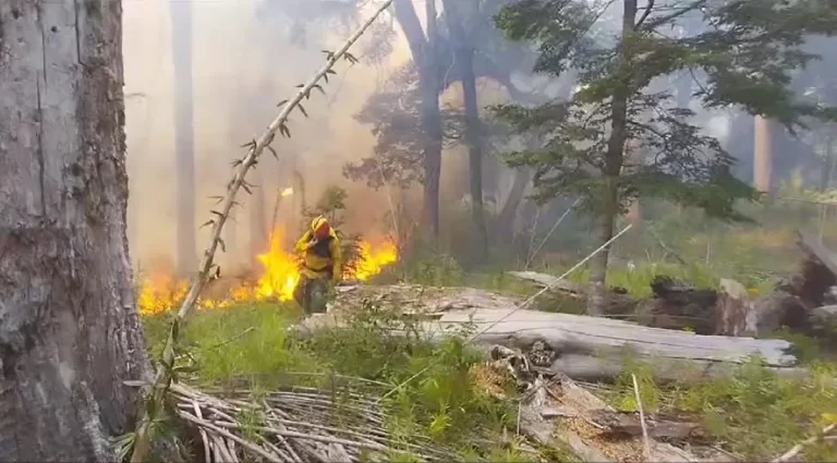 Alarma en Nahuel Huapi y Epuyén por incendios forestales
