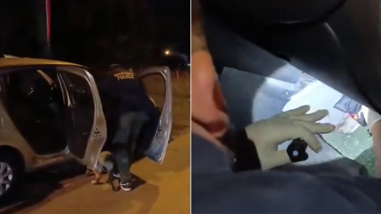 Polinarcos detenidos en Mar del Plata