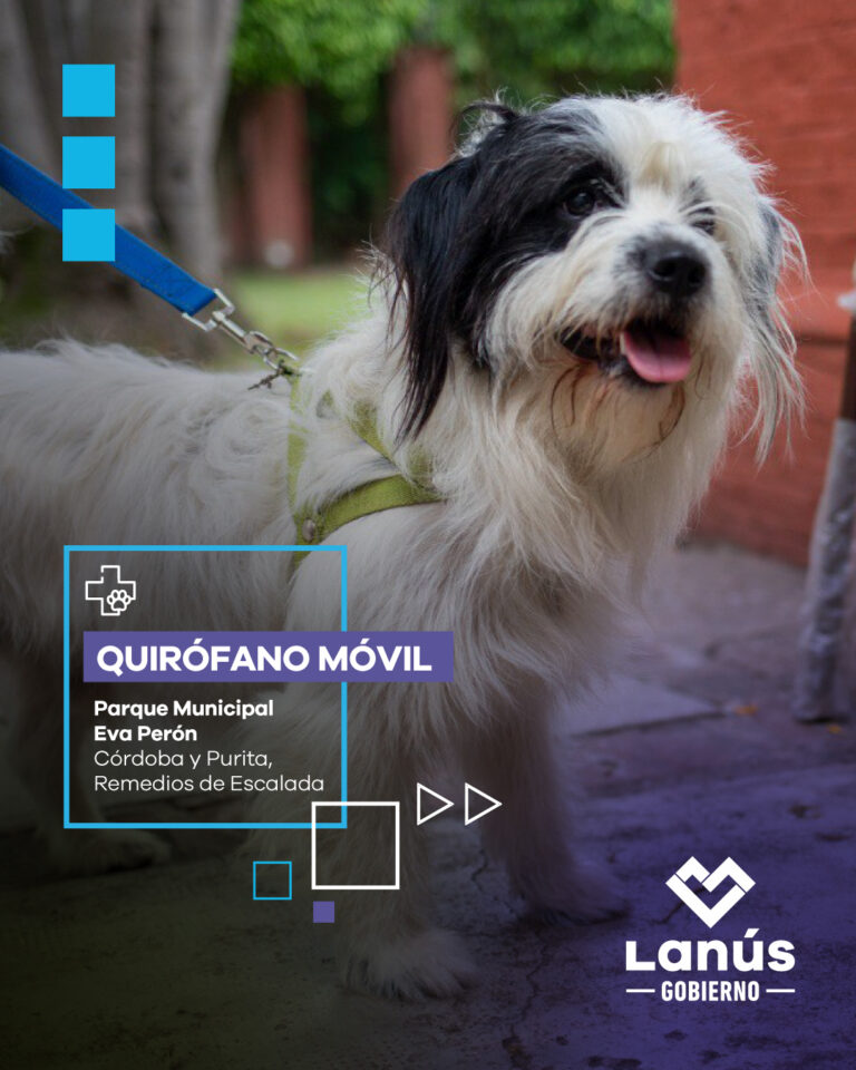 Quirófano Móvil y vacunación gratis para tus mascotas en Lanús