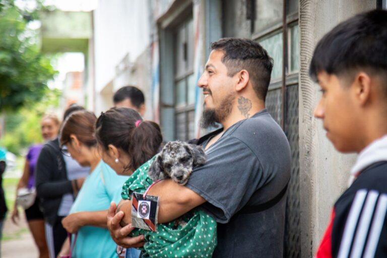 Más castraciones y vacunas gratuitas en Quilmes: fechas y requisitos