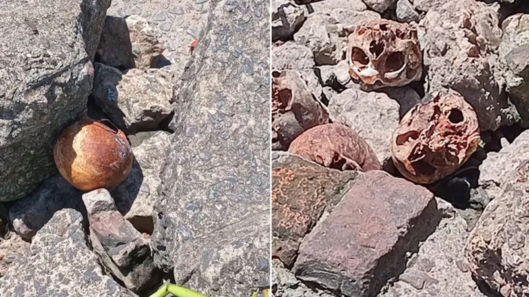 17 cráneos humanos en la costa quilmeña
