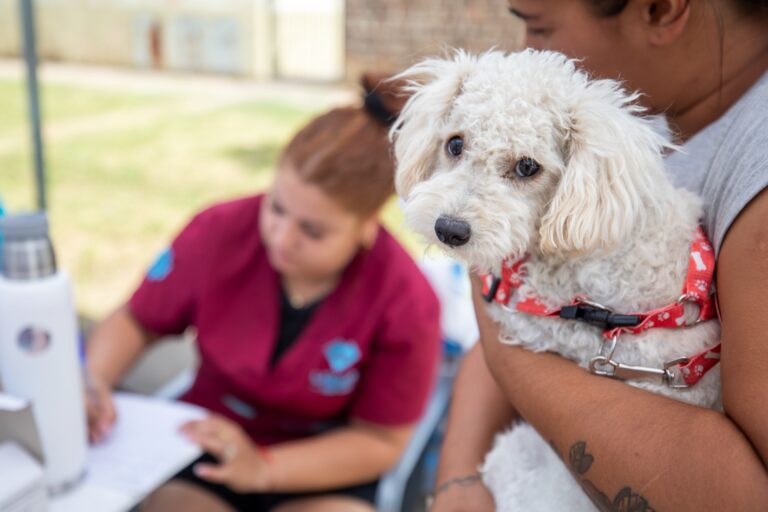 El Municipio de Lanús brinda nuevos turnos para el Quirófano Móvil