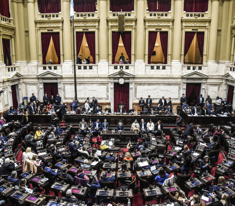 Diputados de Unión por la Patria denuncian a Milei por el DNU del acuerdo con el FMI