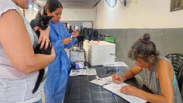 Berazategui continúa con las jornadas municipales de salud animal