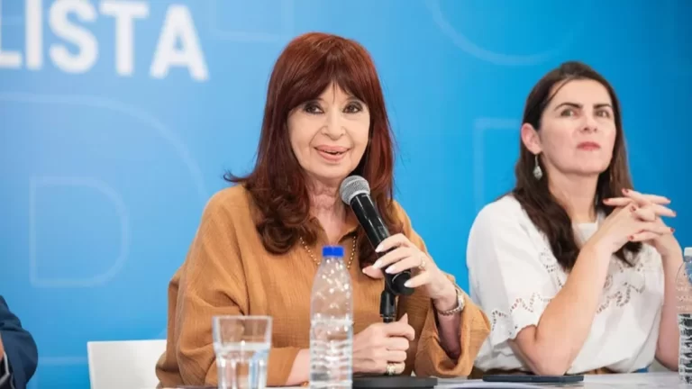 Duro comunicado del Partido Justicialista sobre Ficha Limpia antes del debate en el Senado