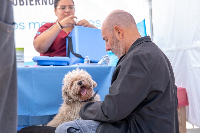 Nuevos turnos para el Quirófano Móvil en Lanús