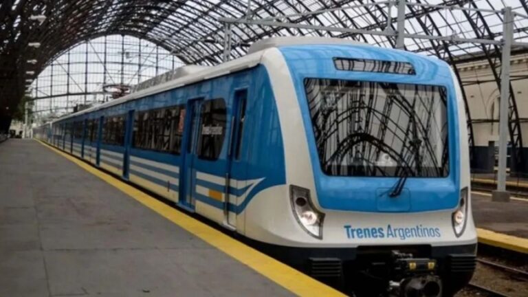 LÍNEA ROCA: LOS TRENES NO LLEGARÁN A LA PLATA POR OBRAS EL FIN DE SEMANA